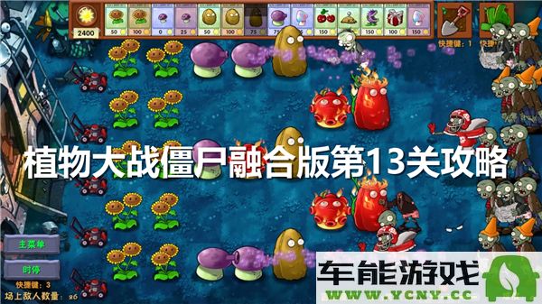 植物大战僵尸融合版第13关通关攻略与技巧分享