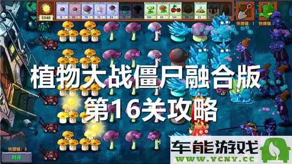 植物大战僵尸融合版第16关通关攻略与技巧分享