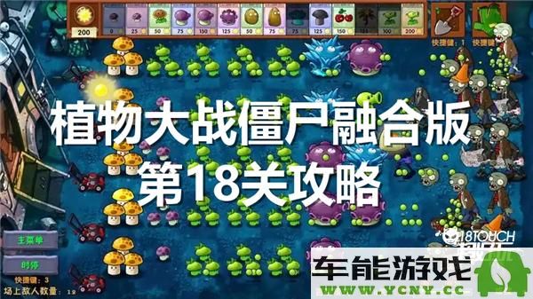 植物大战僵尸融合版第18关通关攻略与技巧分享