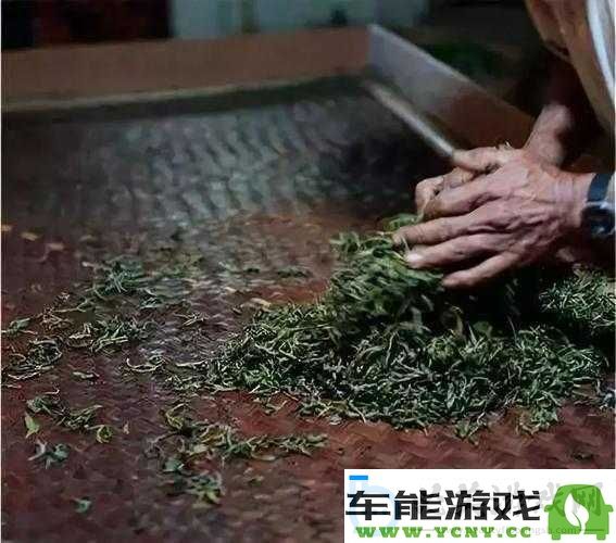 黑暗之魂2-提升刷龙骨化石与灵魂洪流效率的独特技巧与详尽攻略