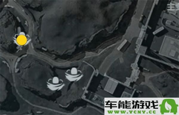 三角洲任务零号大坝附近鸟类栖息地调查与保护分析