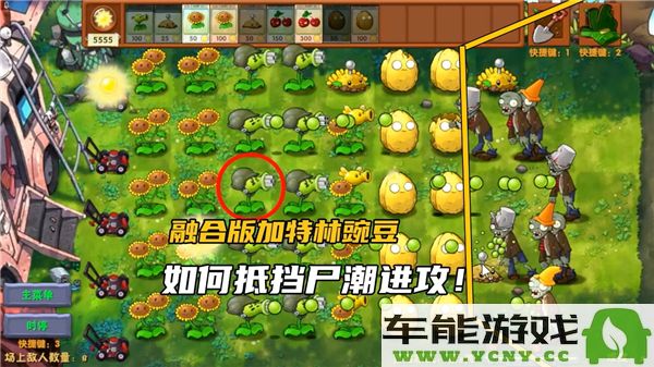 植物大战僵尸融合版第五关的通关攻略分享