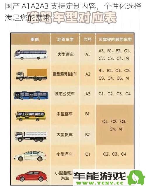 国产 A1A2A3 系列提供个性化定制服务，满足您的特定需求与选择