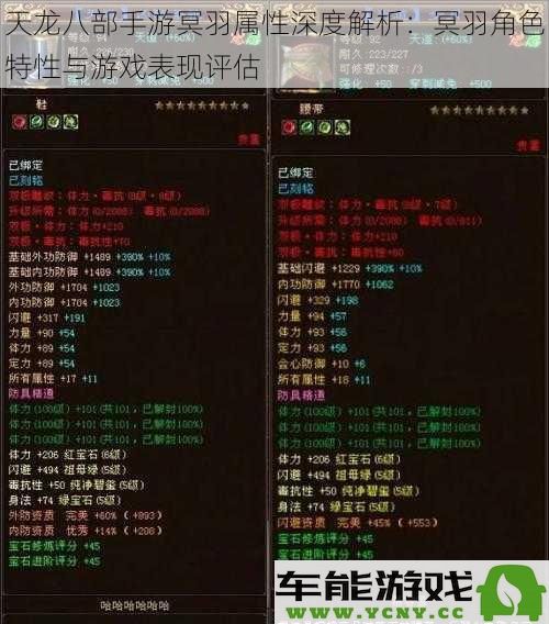 天龙八部手游冥羽角色特性详解与战斗表现综合评估分析