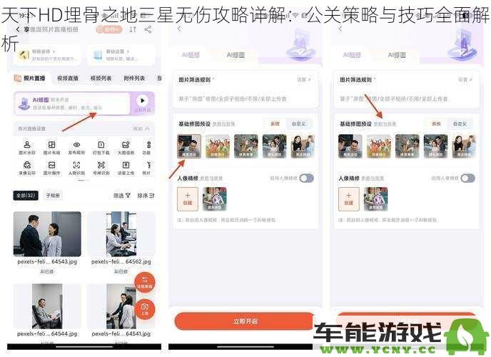 天下HD埋骨之地三星级无伤通关技巧详解：全面解析公关策略与应对方法