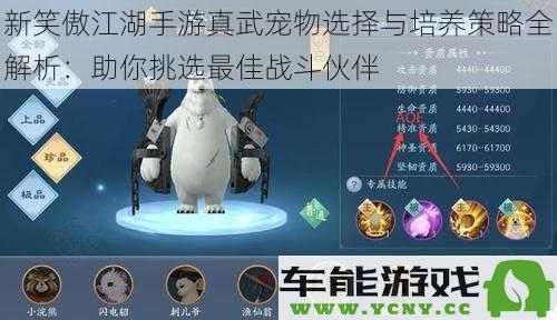 新笑傲江湖手游真武宠物选择攻略与培养技巧全面解析：助你打造最强战斗搭档