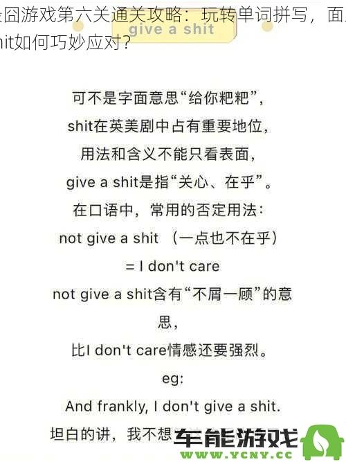 最囧游戏第六关攻略揭秘：如何灵活拼写单词，巧妙应对遇到的shit挑战？