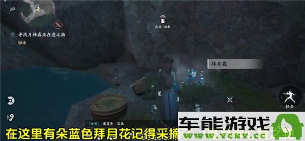 燕云十六声红尘无眼任务挑战如何顺利完成？红尘无眼任务详细流程解析